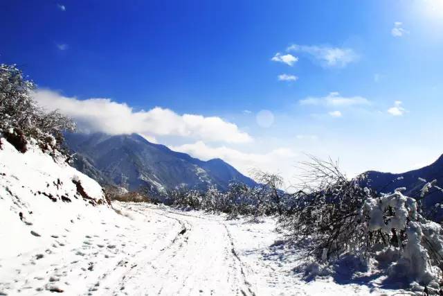 泥巴山气候分水岭图片